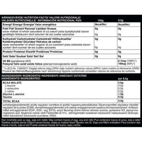 SELF OMNINUTRITION  Bcaa 8:1:1 500gr - Self Omninutrition / Αμινοξέα