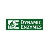 DYNAMIC ENZYMES
